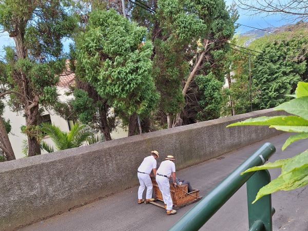 Zwei Männer steuern einen Korbschlitten auf der Straße, in Hintergrund Bäume