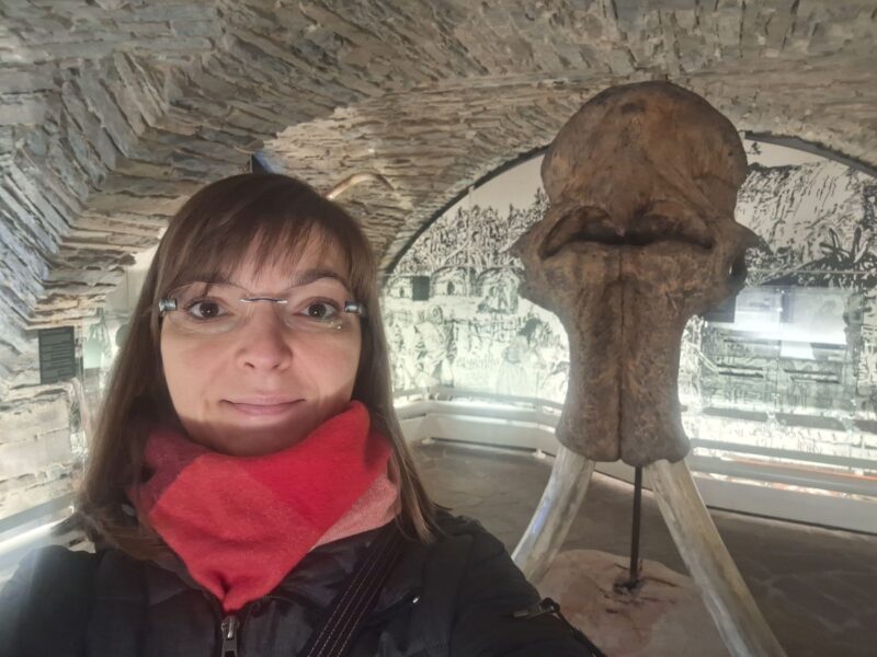 Mehr über den Artikel erfahren Monatsrückblick Januar und Februar 2025