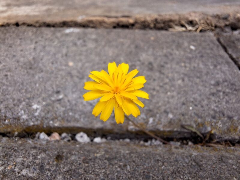 Mehr über den Artikel erfahren Schön, dass es dich gibt