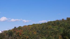 Mehr über den Artikel erfahren Goldener Herbst oder was?